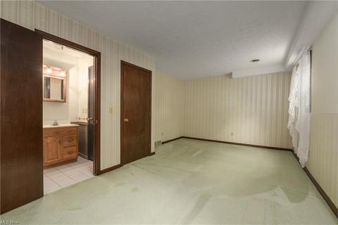 41230 Whitney Rd, Lagrange, OH 44050 photo 17