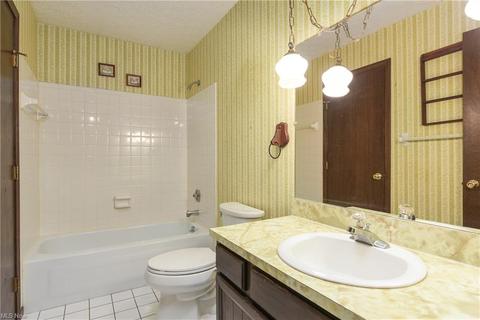 41230 Whitney Rd, Lagrange, OH 44050 photo 25