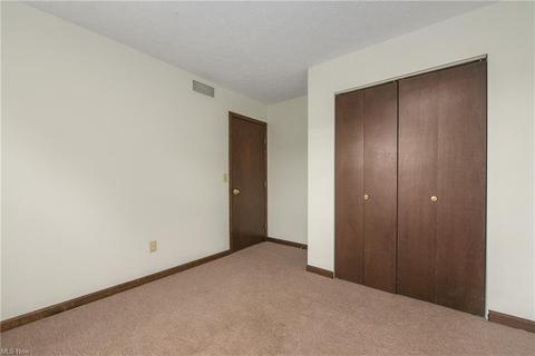41230 Whitney Rd, Lagrange, OH 44050 photo 22