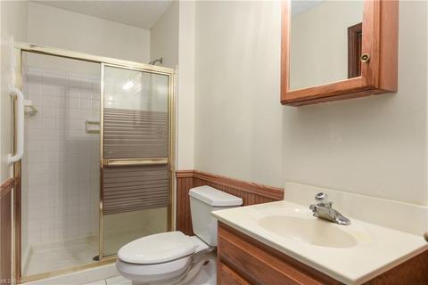41230 Whitney Rd, Lagrange, OH 44050 photo 18