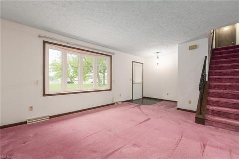 41230 Whitney Rd, Lagrange, OH 44050 photo 8