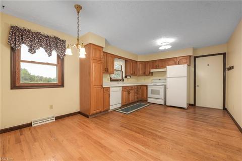 41230 Whitney Rd, Lagrange, OH 44050 photo 9