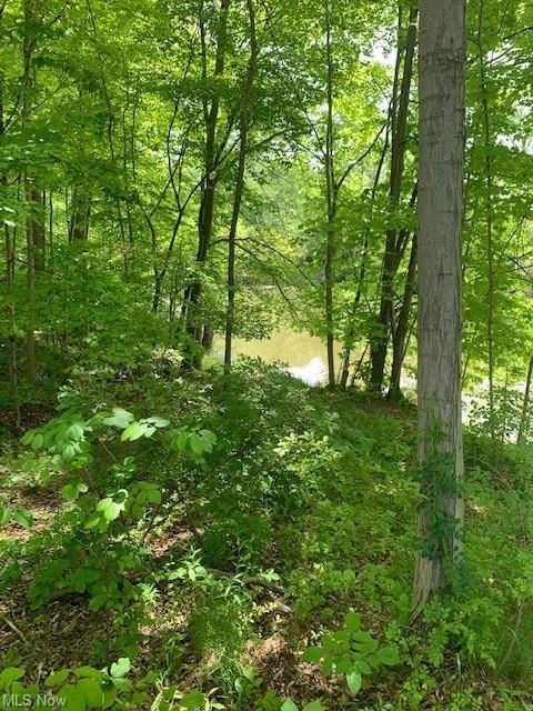 1920 W River Rd S, Elyria, OH 44035 photo 11