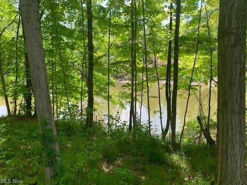 1920 W River Rd S, Elyria, OH 44035 photo 10