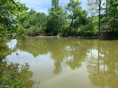 1920 W River Rd S, Elyria, OH 44035 photo 29
