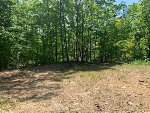 1920 W River Rd S, Elyria, OH 44035 photo 9
