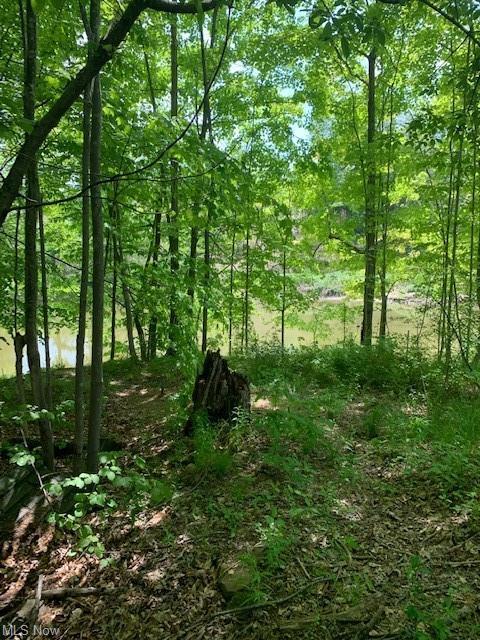 1920 W River Rd S, Elyria, OH 44035 photo 32