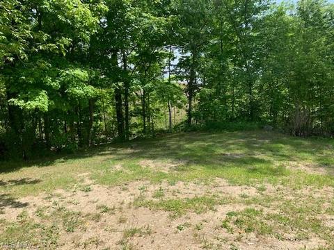 1920 W River Rd S, Elyria, OH 44035 photo 3