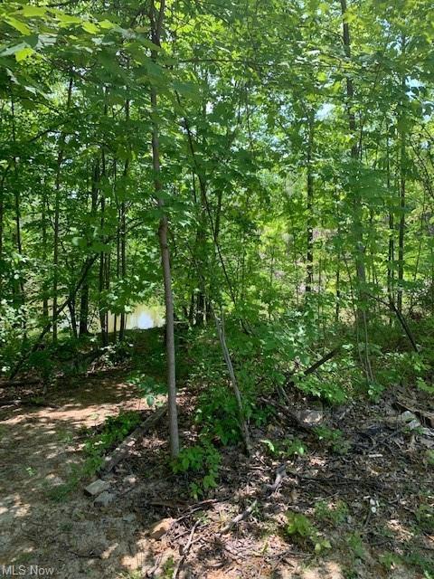 1920 W River Rd S, Elyria, OH 44035 photo 33