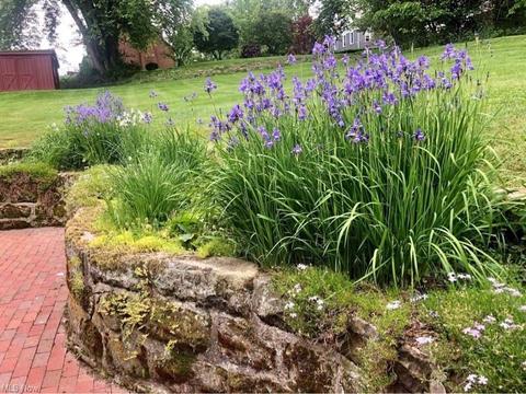 461 W Street St, Coshocton, OH 43812 photo 8