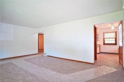 381 Eckard Ave, Akron, OH 44314 photo 20