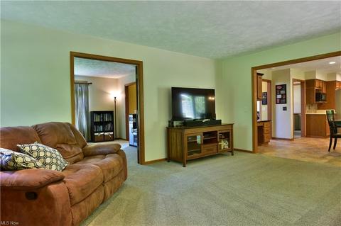 855 Deep Woods Dr, Aurora, OH 44202 photo 19
