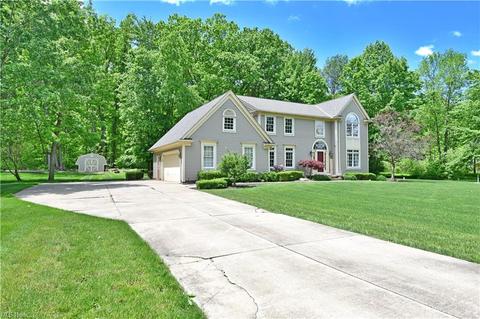 855 Deep Woods Dr, Aurora, OH 44202 photo 3