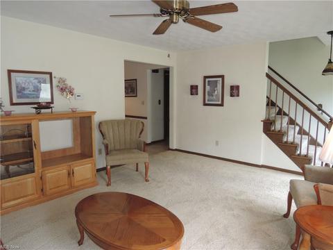 1276 Valley View Dr, Boardman, OH 44512 photo 6