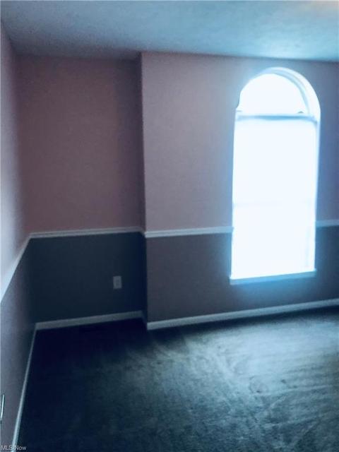 705 Bisson Ave, Akron, OH 44307 photo 22