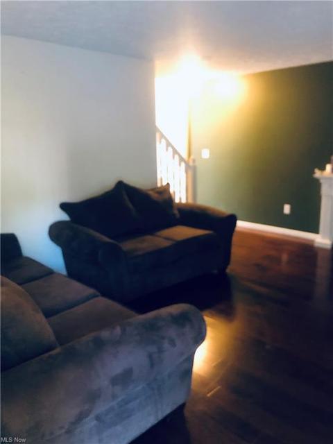 705 Bisson Ave, Akron, OH 44307 photo 8