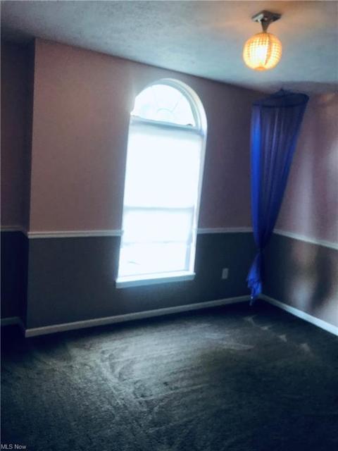 705 Bisson Ave, Akron, OH 44307 photo 23