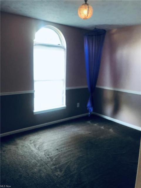 705 Bisson Ave, Akron, OH 44307 photo 21