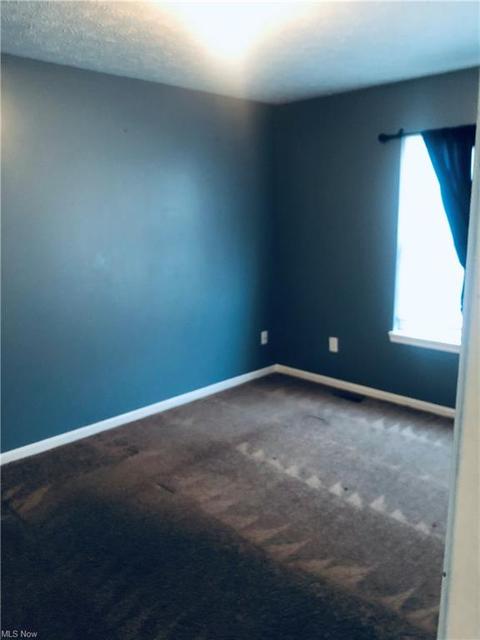 705 Bisson Ave, Akron, OH 44307 photo 18
