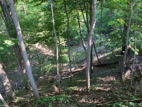 1832 E 223rd St, Euclid, OH 44117 photo 3