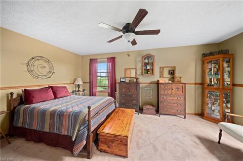 18265 Pine Lake Rd, Beloit, OH 44609 photo 21