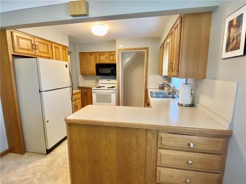 7419 Hillside Rd, Independence, OH 44131 photo 8
