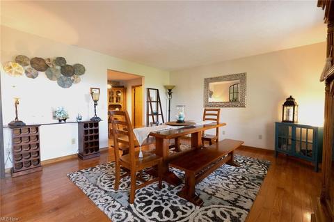 42021 Biggs Rd, Lagrange, OH 44050 photo 3