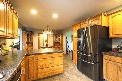 42021 Biggs Rd, Lagrange, OH 44050 photo 5