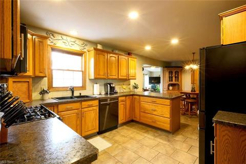 42021 Biggs Rd, Lagrange, OH 44050 photo 4