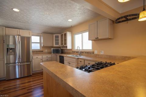 30209 Vineyard Rd, Willowick, OH 44095 photo 10