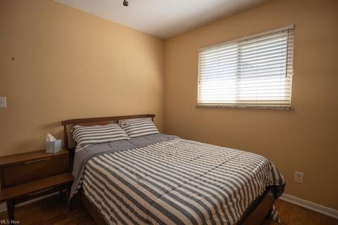 30209 Vineyard Rd, Willowick, OH 44095 photo 19