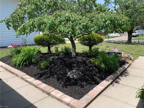 809 Sandalwood Dr, Elyria, OH 44035 photo 5