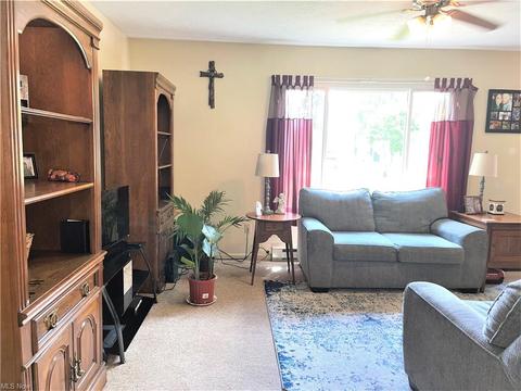 9137 Maple Cir, Windham, OH 44288 photo 4
