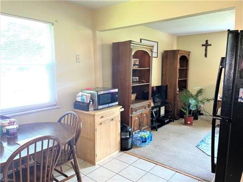 9137 Maple Cir, Windham, OH 44288 photo 7