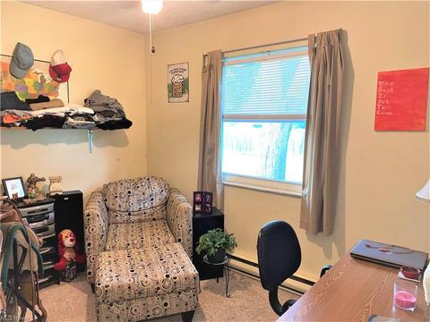 9137 Maple Cir, Windham, OH 44288 photo 11