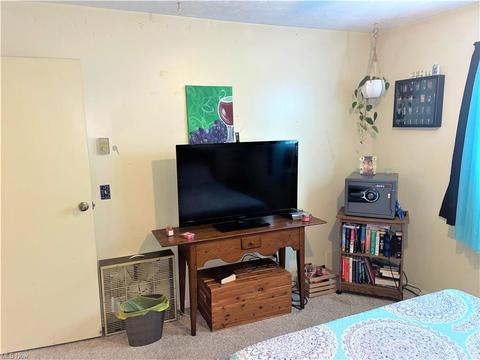 9137 Maple Cir, Windham, OH 44288 photo 10