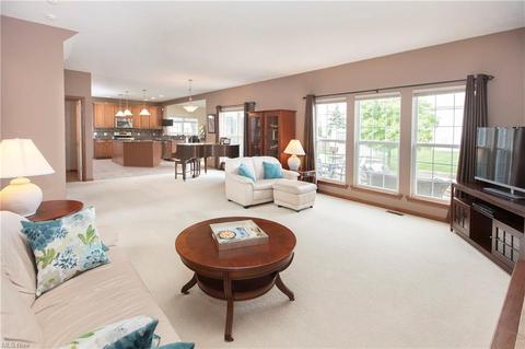 1682 E Ash Dr, Avon, OH 44011 photo 9