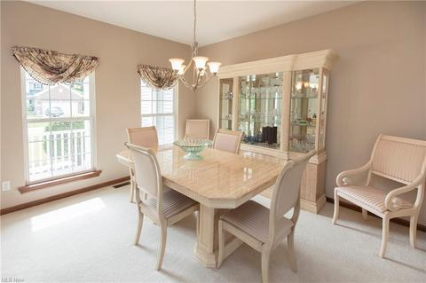 1682 E Ash Dr, Avon, OH 44011 photo 5