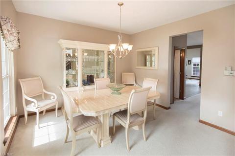 1682 E Ash Dr, Avon, OH 44011 photo 4