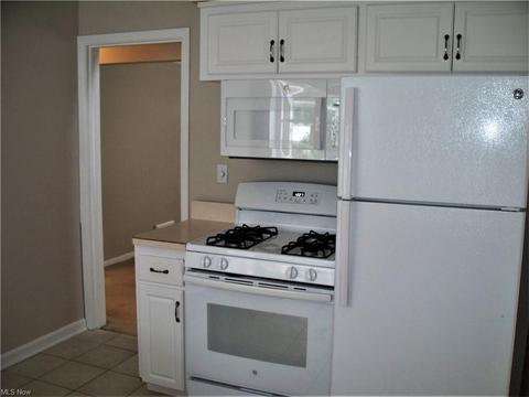 24500 Devoe Ave, Euclid, OH 44123 photo 13