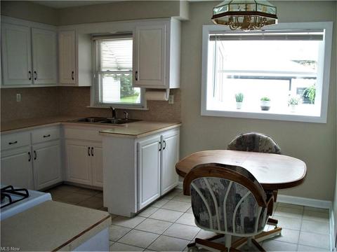 24500 Devoe Ave, Euclid, OH 44123 photo 12