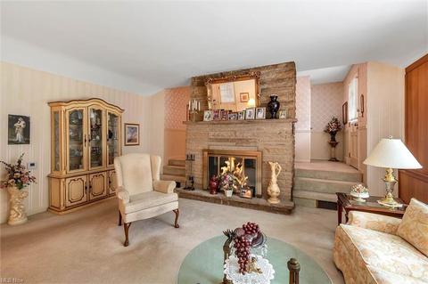 6241 Forest Dr, Ashtabula, OH 44004 photo 11