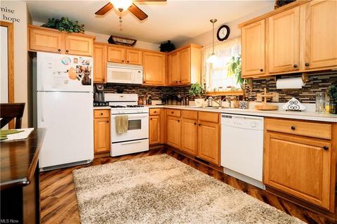 706 Black Bear Run, Lagrange, OH 44050 photo 6