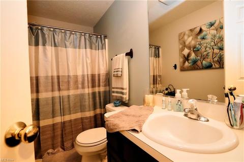 706 Black Bear Run, Lagrange, OH 44050 photo 29