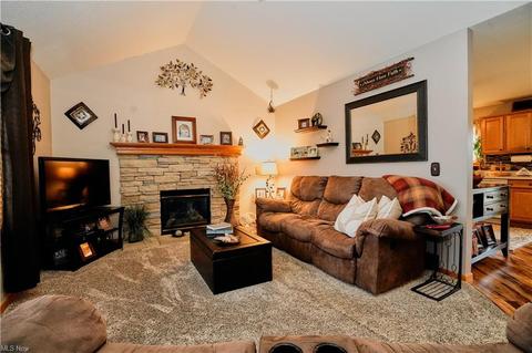 706 Black Bear Run, Lagrange, OH 44050 photo 14