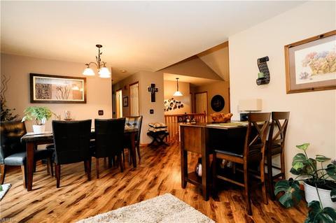 706 Black Bear Run, Lagrange, OH 44050 photo 8
