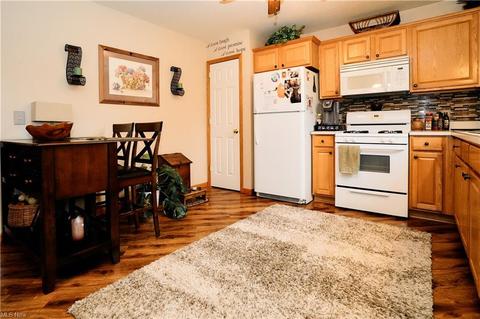 706 Black Bear Run, Lagrange, OH 44050 photo 7
