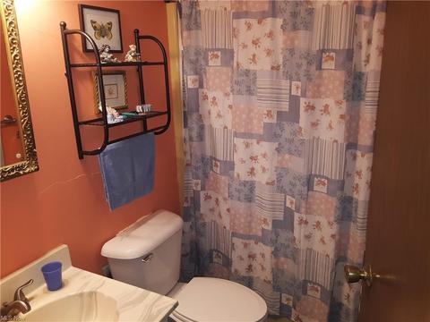 4996 Ayers Rd, Andover, OH 44003 photo 8