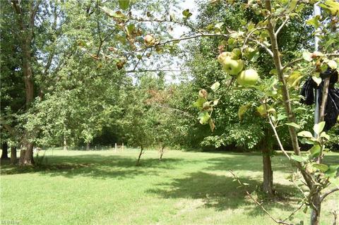 3005 Carpenter Rd, Ashtabula, OH 44004 photo 9