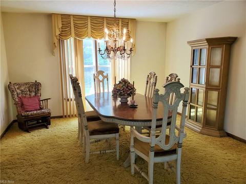 6740 Donna Rae Dr, Seven Hills, OH 44131 photo 5